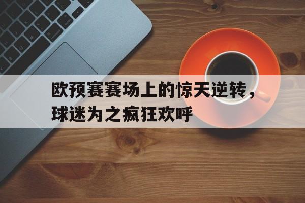 欧预赛赛场上的惊天逆转，球迷为之疯狂欢呼的简单介绍